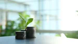 Interés compuesto: planta que crece entre dos montones de monedas como símbolo del ahorro